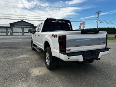 Used 2019 Ford Super Duty F-250 4WD Crew Cab Platinum at North Country Auto near Presque Isle, ME