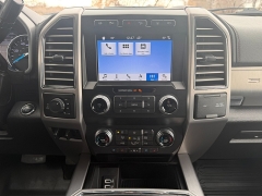Used 2019  Ford Super Duty F-250 4WD Crew Cab Platinum at Naples Auto Sales near Vernal&comma; UT