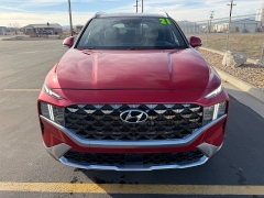 Used 2021  Hyundai Santa Fe Calligraphy AWD at Naples Auto Sales near Vernal&comma; UT