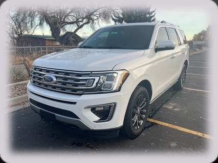2020 Ford Expedition Limited's photo