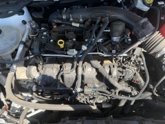 Used 2021  Ford Escape Titanium AWD at Naples Auto Sales near Vernal&comma; UT