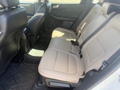 Used 2021  Ford Escape Titanium AWD at Naples Auto Sales near Vernal&comma; UT
