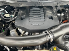 Used 2023  Ford F-150 4WD XLT SuperCrew 5.5' Box at Naples Auto Sales near Vernal, UT