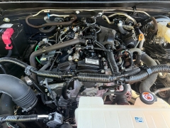 Used 2024  Toyota Tacoma 4WD SR5 Double Cab 6ft Bed AT at Naples Auto Sales near Vernal&comma; UT
