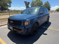 Used 2024  Kia Telluride SX Prestige X-Line AWD at Naples Auto Sales near Vernal&comma; UT