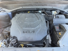 Used 2024  Kia Telluride SX Prestige X-Line AWD at Naples Auto Sales near Vernal&comma; UT