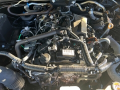 Used 2024 Toyota Tacoma 4WD SR5 Double Cab 5ft Bed AT at Naples Auto Sales near Vernal, UT