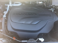 Used 2021  Honda Pilot EX-L AWD at Naples Auto Sales near Vernal&comma; UT