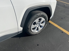 Used 2024  Toyota RAV4 LE AWD at Naples Auto Sales near Vernal&comma; UT