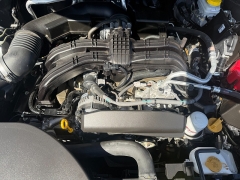Used 2025  Subaru Outback Premium AWD at Naples Auto Sales near Vernal&comma; UT