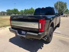 Used 2020  Ford Super Duty F-350 4WD Crew Cab Platinum SRW at Naples Auto Sales near Vernal&comma; UT