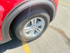 Used 2023  Ford Explorer XLT 4WD at Naples Auto Sales near Vernal&comma; UT