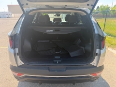 Used 2024  Hyundai Tucson Hybrid Blue AWD at Naples Auto Sales near Vernal&comma; UT
