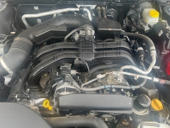 Used 2023 Subaru Outback Premium CVT at Naples Auto Sales near Vernal, UT