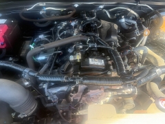 Used 2024  Toyota Tacoma 4WD SR5 Double Cab 5ft Bed AT at Naples Auto Sales near Vernal&comma; UT