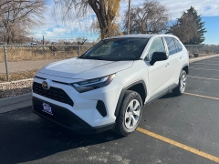 Used 2024  Toyota RAV4 LE AWD at Naples Auto Sales near Vernal&comma; UT