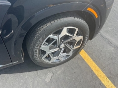 Used 2021  Hyundai Palisade Calligraphy AWD at Naples Auto Sales near Vernal, UT