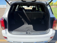 Used 2021  Hyundai Palisade Calligraphy AWD at Naples Auto Sales near Vernal&comma; UT