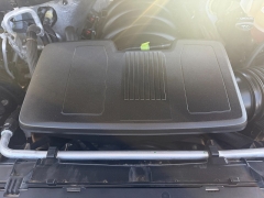 Used 2019  Chevrolet Silverado 1500 4WD Crew Cab LT Trail Boss at Naples Auto Sales near Vernal&comma; UT