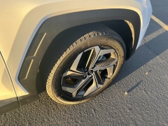 Used 2024  Hyundai Tucson Limited AWD at Naples Auto Sales near Vernal&comma; UT