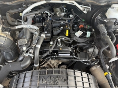 Used 2019  Ford Ranger 4WD SuperCrew XLT at Naples Auto Sales near Vernal&comma; UT