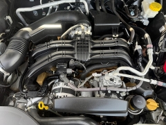 Used 2020  Subaru Outback 4d SUV AWD Premium at Naples Auto Sales near Vernal&comma; UT