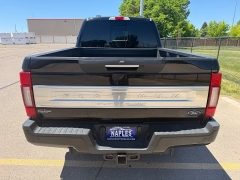 Used 2020  Ford Super Duty F-350 4WD Crew Cab Platinum SRW at Naples Auto Sales near Vernal&comma; UT