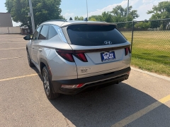 Used 2024  Hyundai Tucson Hybrid Blue AWD at Naples Auto Sales near Vernal&comma; UT