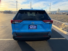Used 2019  Toyota RAV4 4d SUV AWD LE at Naples Auto Sales near Vernal&comma; UT