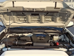 Used 2020  Toyota Tacoma 4WD Double Cab 5' Bed V6 &lpar;Natl&rpar; at CarloanExpress&period;Com near Hampton&comma; VA