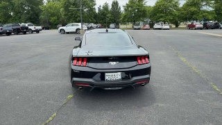 Used 2024  Ford Mustang EcoBoost Fastback at CarloanExpress&period;Com near Hampton&comma; VA