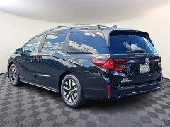 New 2026  Honda Odyssey EX-L Auto at CarloanExpress.Com near Hampton, VA