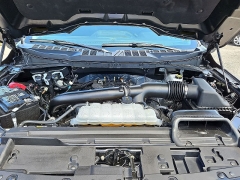 Used 2025  Ford F-150 XLT 4WD SuperCrew Box at CarloanExpress&period;Com near Hampton&comma; VA