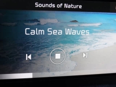 Used 2021  Kia Telluride SX AWD at CarloanExpress.Com near Hampton, VA