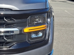 Used 2025  Ford F-150 XLT 4WD SuperCrew Box at CarloanExpress&period;Com near Hampton&comma; VA