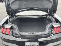 Used 2024  Ford Mustang EcoBoost Fastback at CarloanExpress&period;Com near Hampton&comma; VA