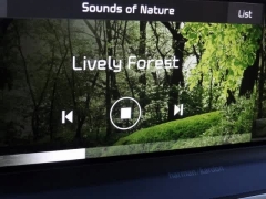 Used 2021  Kia Telluride SX AWD at CarloanExpress.Com near Hampton, VA