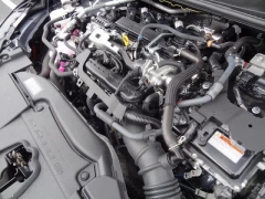 Used 2024  Toyota Prius &lpar;Natl&rpar; at CarloanExpress&period;Com near Hampton&comma; VA