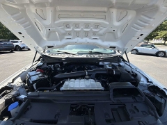 Used 2025  Ford F-150 XLT 4WD SuperCrew Box at CarloanExpress&period;Com near Hampton&comma; VA
