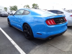 Used 2022  Ford Mustang EcoBoost Fastback at CarloanExpress&period;Com near Hampton&comma; VA