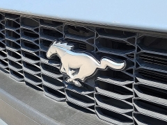 Used 2024  Ford Mustang EcoBoost Fastback at CarloanExpress&period;Com near Hampton&comma; VA