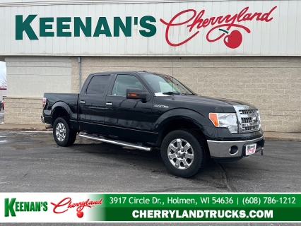 2014 Ford F-150 FX4