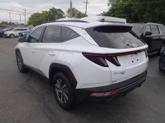 Used 2023 Hyundai Tucson Hybrid Blue AWD at Rose Automotive near Hamilton, OH