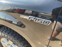 Used 2013  Ford F-150 4WD Supercrew XLT 5 1/2 at Ollenburg Motors near Garner, IA