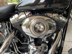 Used 2009 Harley-Davidson FLSTN SFT TAIL at Bill Fitts Auto Sales near Little Rock, AR