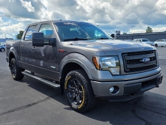 Used 2014 Ford F-150 4WD Supercrew FX4 6 1/2 at Maxx Loans near St. Adrian, MI