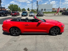 Used 2022 Ford Mustang EcoBoost Premium Convertible at House of Carz near Rochester, IN