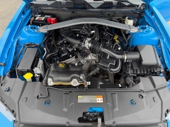 Used 2013  Ford Mustang 2d Coupe at House of Carz near Rochester&comma; IN