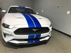 Used 2020  Ford Mustang 2d Fastback Eco Premium at Carolina Family Motors near Mooresville&comma; NC