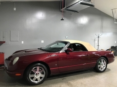 Used 2004  Ford Thunderbird 2d Convertible Premium at Carolina Family Motors near Mooresville&comma; NC